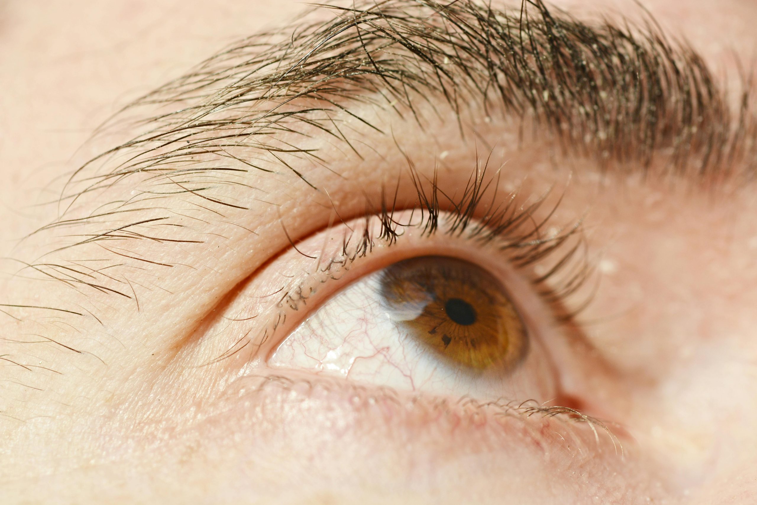 Men Eyebrows