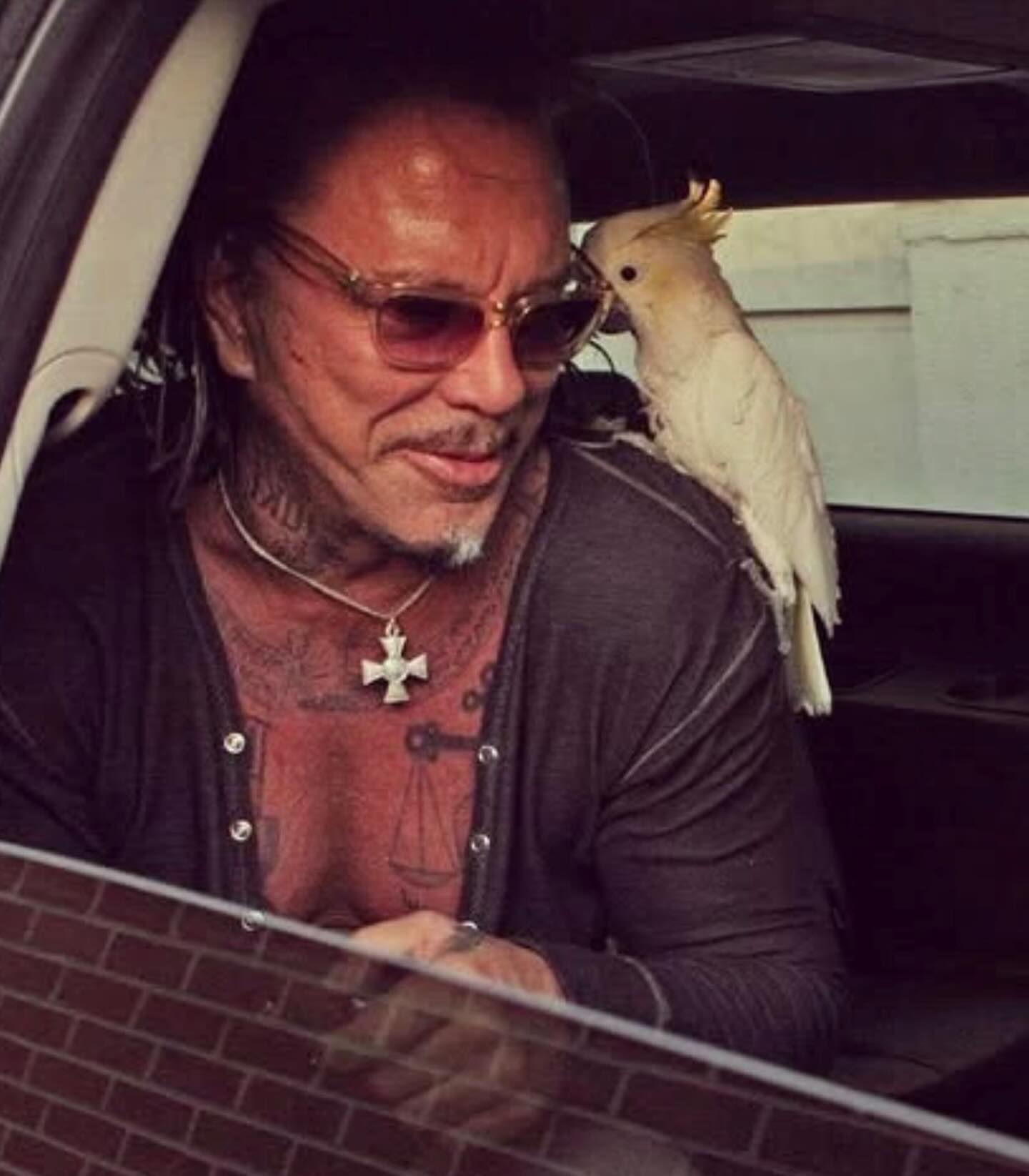 Mickey Rourke Net Worth