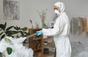 How Does A Professional Pest Service Keep Properties Protected Long-Term